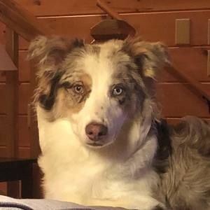 Meet your Posher, Sam